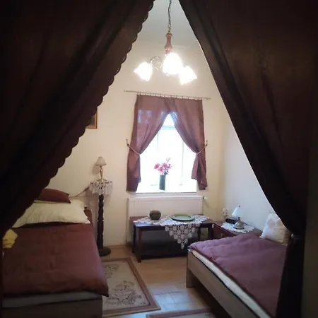 Brezovay Kastely Panzio Bed & Breakfast *